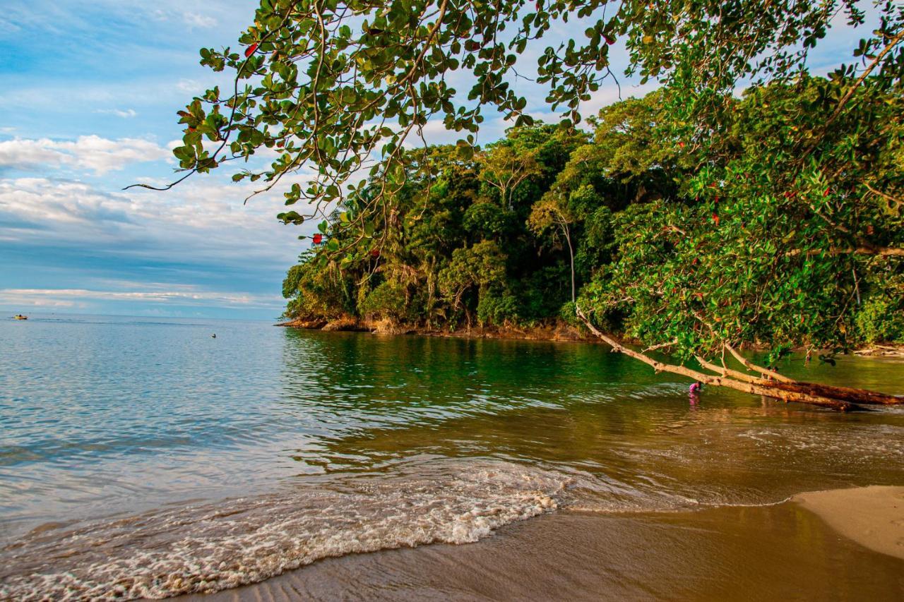 Bambutel Cocles Ξενοδοχείο Puerto Viejo de Talamanca Εξωτερικό φωτογραφία