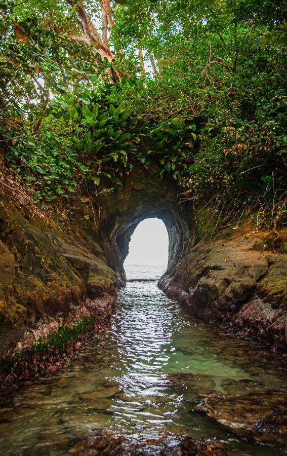 Bambutel Cocles Ξενοδοχείο Puerto Viejo de Talamanca Εξωτερικό φωτογραφία