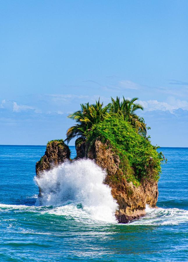 Bambutel Cocles Ξενοδοχείο Puerto Viejo de Talamanca Εξωτερικό φωτογραφία